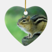 Curieuze Chipmunk Ornament (Achterkant)