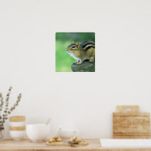 Curieuze Chipmunk Poster (Keuken)