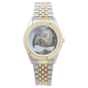Curieuze Congo-Afrikaanse grijze papegaai Horloge