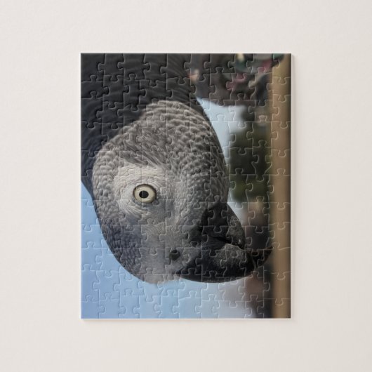 Curieuze Congo-Afrikaanse grijze papegaai Legpuzzel (Verticaal)