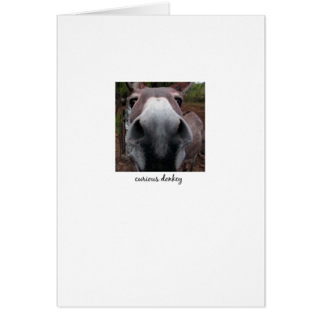 Curieuze Donkey (Voorkant)