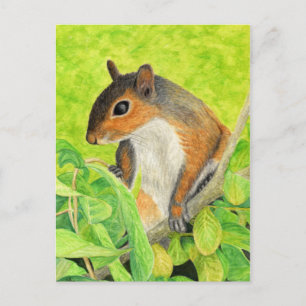 Curieuze eekhoorn - Wilde Kunst Briefkaart