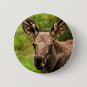 Curieuze Eland Ronde Button 5,7 Cm