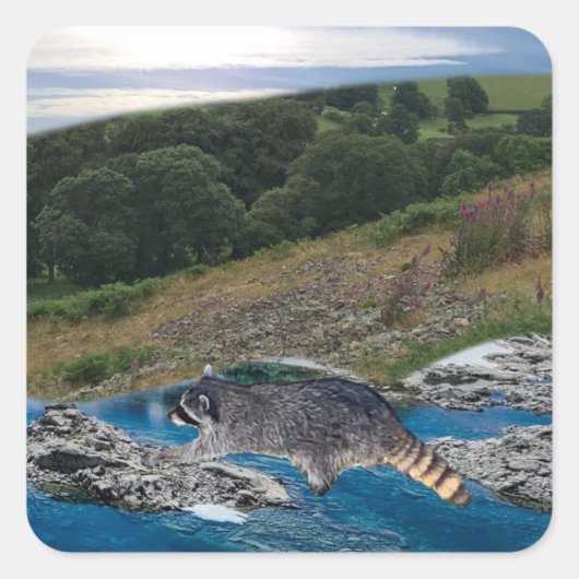 Curieuze en slimme Raccoon Square Sticker (Voorkant)