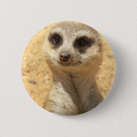 Curieuze Meerkat Round Pin Ronde Button 5,7 Cm (Voorkant)