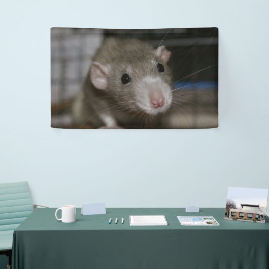 curieuze ratten spandoek (Beurs)