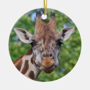 Curios Giraffe Keramisch Ornament