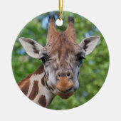 Curios Giraffe Keramisch Ornament (Voorkant)