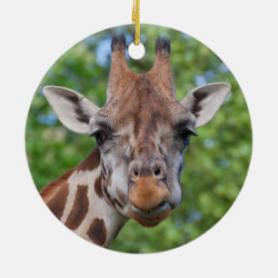 Curios Giraffe Keramisch Ornament