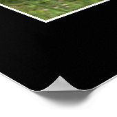 "CURIOSITÉ" Posters photos en coon (Coin)