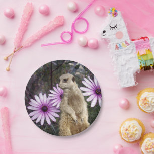 Curious Bloom: Meerkat onder de Paarse madeliefjes Papieren Bordje