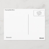 Curious Briefkaart (Achterkant)