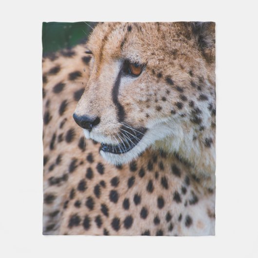 CURIOUS CHEETAH FLEECE DEKEN (Voorkant)