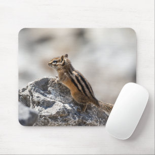 Curious Chipmunk – Canadese natuurfotografie Muismat