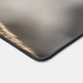 Curious Chipmunk in Nature (Coin)