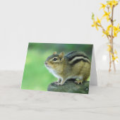 Curious Chipmunk Wenskaart Kaart (Gele Bloem)