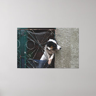 Curious Dog Looking Out of a Decorative Metal Gate Canvas Afdruk
