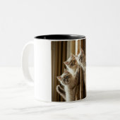 Curious Kittens Escalade Mug (Devant gauche)