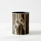 Curious Kittens Escalade Mug (Centre)