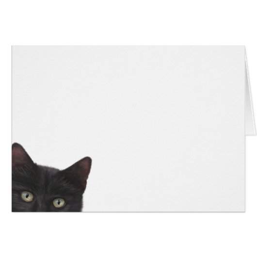 Curious Kitty peinture numérique (Devant horizontal)