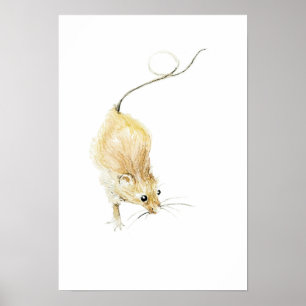 Curious Muis Afdruk Poster