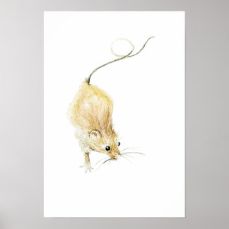 Curious Muis Afdruk Poster