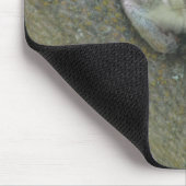 Curious Squirrel in Tree with Your Initials Muismat (Hoek)