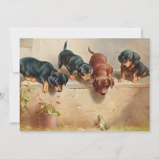 Curious Teckel Puppies | Carl Reichert (Voorkant)