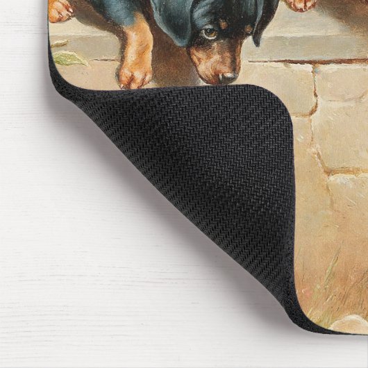 Curious Teckel Puppies | Carl Reichert Muismat (Hoek)