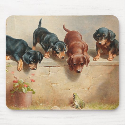 Curious Teckel Puppies | Carl Reichert Muismat (Voorkant)