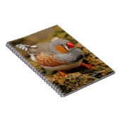 Curious Zebra Finch On The Rocks beroemd gemaakt d Notitieboek (Rechterzijde)