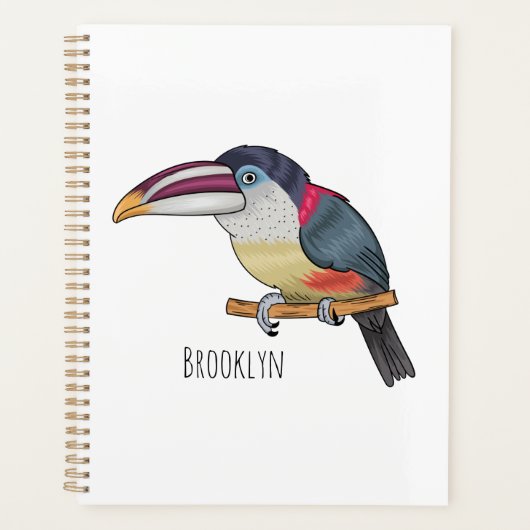 Curl crested aracari bird cartoon (Devant)
