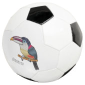 Curl crested aracari bird cartoon (3/4)