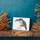 Curl crested aracari vogelschilderij cartoon fotoplaat (Zijkant)