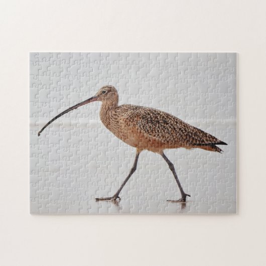 Curlew Bird Beach Walk Natuur Puzzel (Horizontaal)