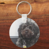 CURLEY SLEUTELHANGER (Voorkant)