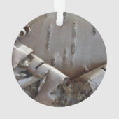 Curly Birch Bark Tree Rustic (dos)