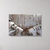 Curly Birch Bark Tree Rustic Canvas Afdruk (Voorkant)