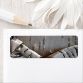 Curly Birch Bark Tree Rustic Etiket (Insitu)