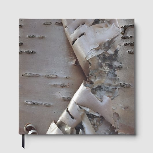 Curly Birch Bark Tree Rustic Guest Book Gastenboek (Voorkant)