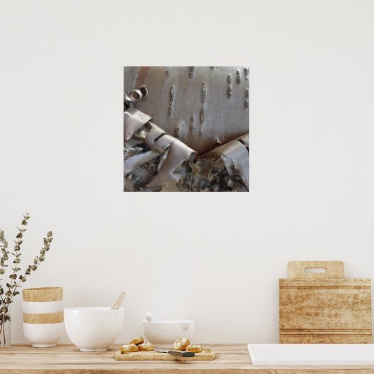 Curly Birch Bark Tree Rustic Poster (Keuken)