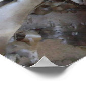 Curly Birch Bark Tree Rustic Poster (Hoek)