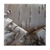 Curly Birch Bark Tree Rustic Tegeltje (Voorkant)