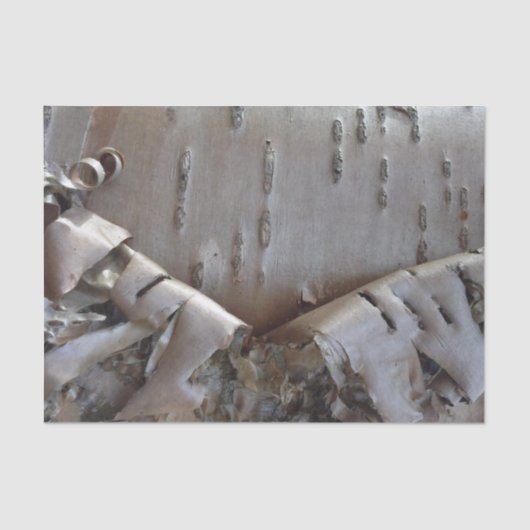 Curly Birch Bark Tree Rustic Tissuepapier (Voorkant)