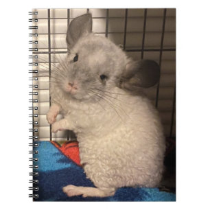 Curly Chinchilla spiral notebook Notitieboek