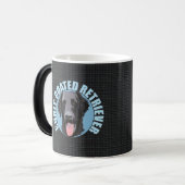 CURLY COATED RETRIEVER MAGISCHE MOK (Voorkant links)