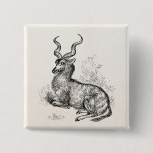  Curly Horn Gazelle Antelope gepersonaliseerd Vierkante Button 5,1 Cm