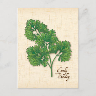 Curly Parsley Herb-Briefkaart aanpassen Briefkaart