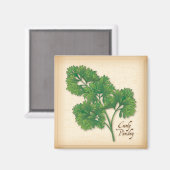 Curly Parsley Herb Magneet (Voorkant / Achterkant)