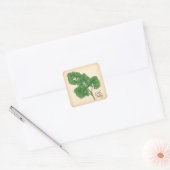 Curly Parsley Herb Square Sticker (Envelop)